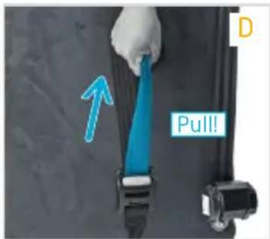 Pull!