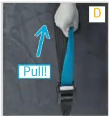 Pull! D