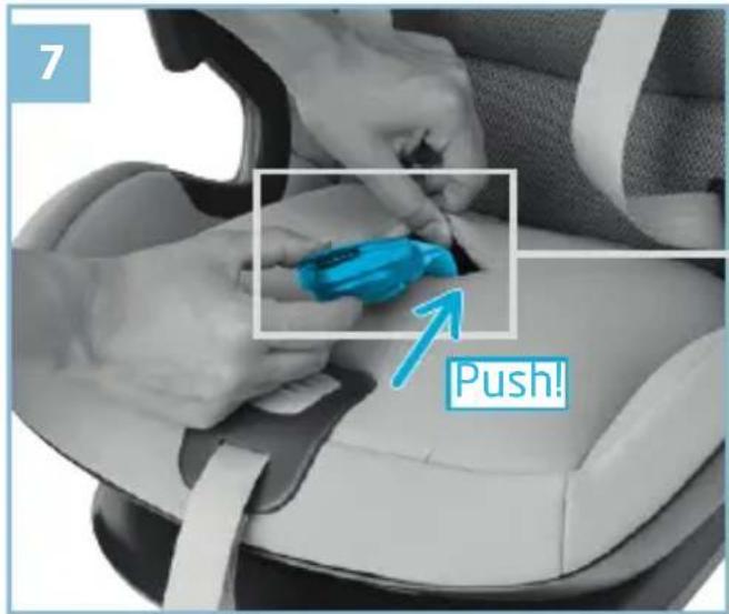 7 Push!