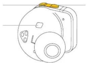 MASTER DYNAMIC MW08 Sport - MASTER & DYNAMIC - 2