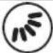 Koenic KAC 14021 WLAN - Note: - 13