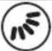 Koenic KAC 14021 WLAN - Hinweis: - 12