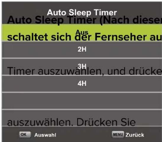 Yasin YT43FTB1 - OSD-Menu ZEIT - 3