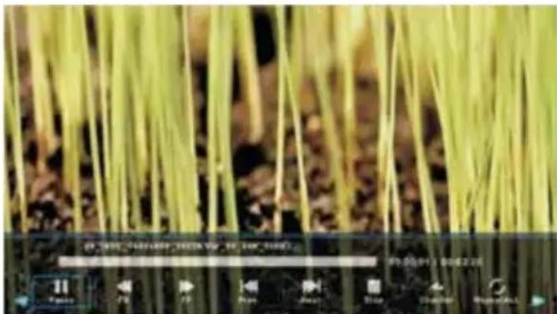 Yasin YT32HTB1 - USB Features (Movie) - 2