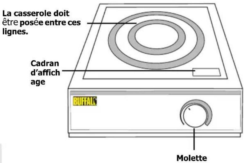 BUFFALO CE208 - Cuisson par induction - 2