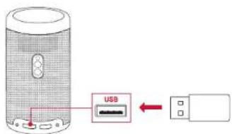 NEBULA Capsule Max - Riproduzione da un dispositivo di archivazione USB - 1