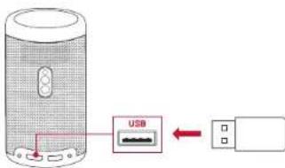 NEBULA Capsule Max - Lecture à partir d'une clé USB - 1