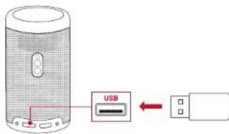 NEBULA Capsule Max - Reproduzir a partir de um Dispositivo de armazenamento USB - 1