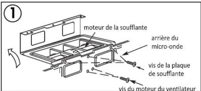 moteur de la soufflante arrière du micro-onde vis de la plaque de soufflante vis du moteur du ventilateur