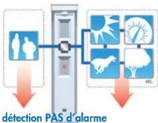 OPTEX FTNRPT - Logique SMDA - 2