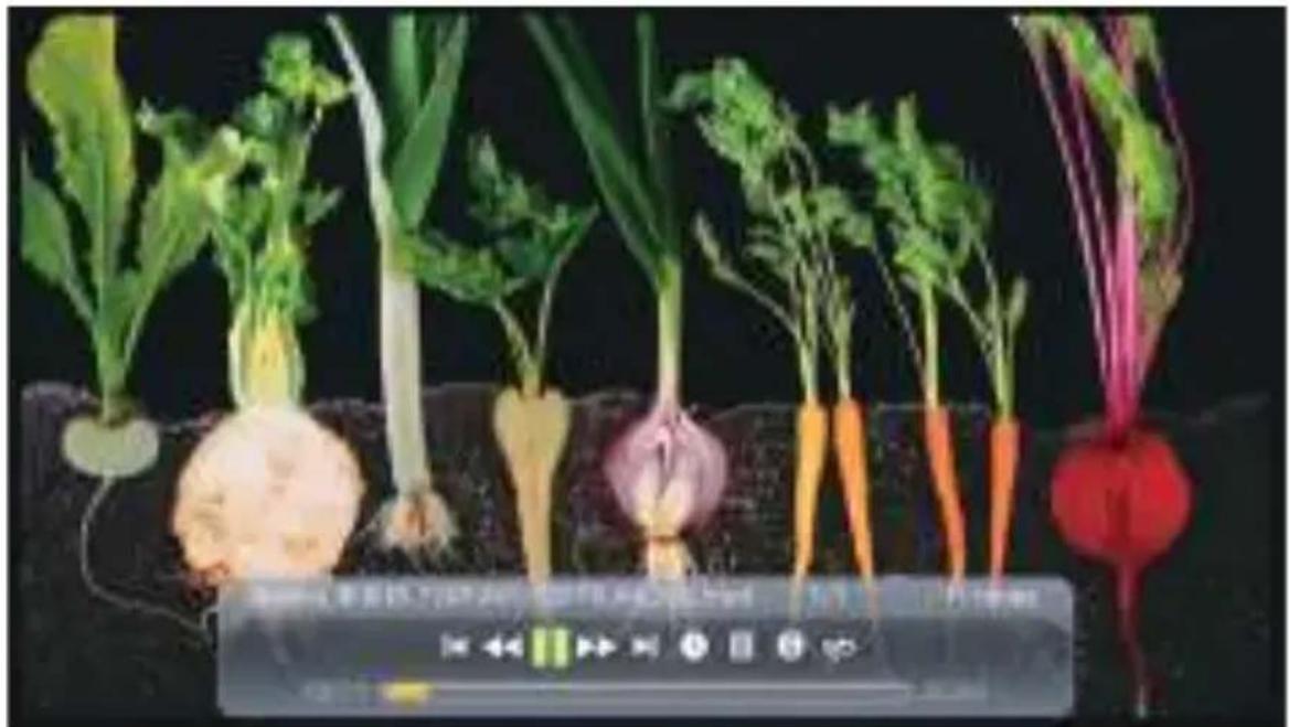Yaber Pro V8 - 2.2.Video Play Interface - 1