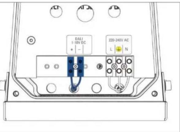 Derksen PHOS 45 rotator outdoor - Connexions pour la commande d'éclairage (en option) DALI / 1-10v - 1