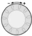 Elco Thision S PLUS - Visione d'insieme funzioni principali regolatore elettronico - 1
