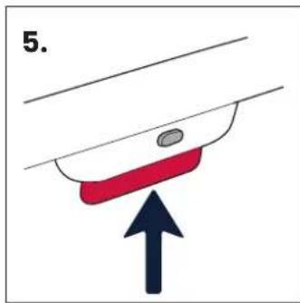 5.
