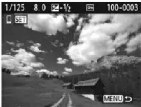 CANON EOS 1500D - Sending Images Individually - 1