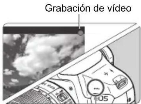 CANON EOS 1500D - Enfoque el motivo. - 2
