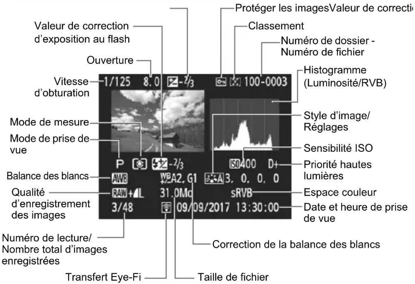 CANON EOS 1500D - Exemple de photo prise dans un mode de la zone de création - 1