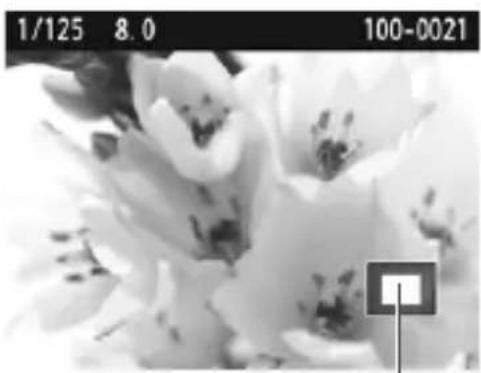 CANON EOS 1500D - Select an image. - 2