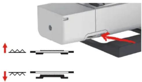 Bernette b79 - Prudence - 1