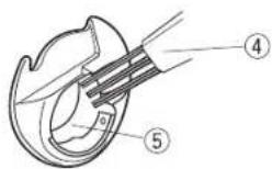 Bernette b37 - -Régularité de la bride - 3