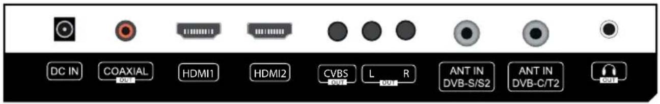MEGASAT Royal Line III 24 - Connections - 1