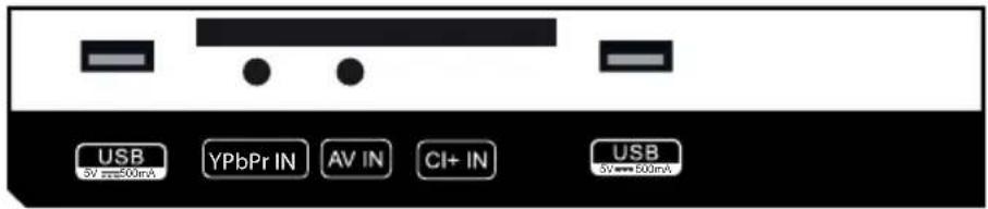 MEGASAT Royal Line III 24 - Connections - 2