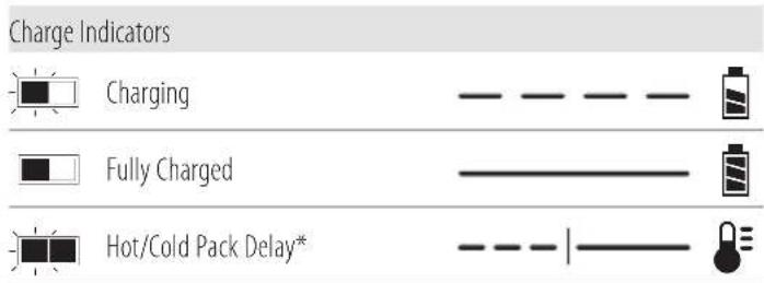 Charge Indicators Charging Fully Charged Hot/Cold Pack Delay*