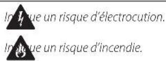 DEWALT DCR020 - Définitions : consignes de sécurité - 1