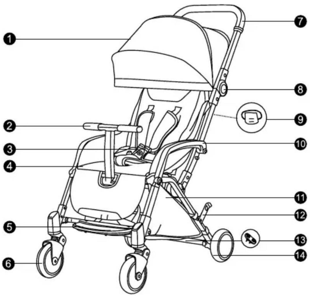 Qtus Tody - Ihr neues Kinderwagen - 1