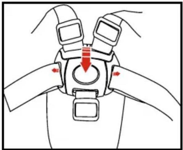 Qtus Tody - Using your stroller - 1