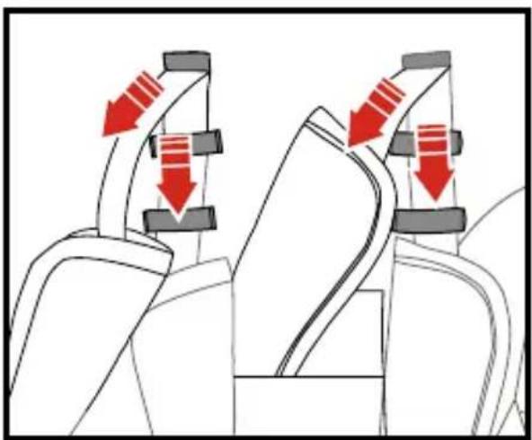 Qtus Tody - Using your stroller - 3