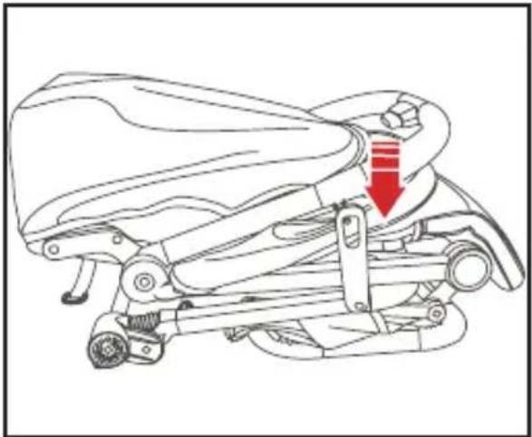Qtus Lark - - Het frame ontvouwen - 1