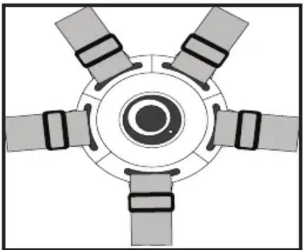 Qtus Spider - - Öffnen / schließen Sie das Rückhaltesystem - 1