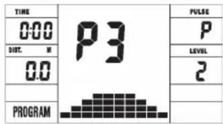 TIME 0:00 DIST. M 0.0 PROGRAM P3 PULSE LEVEL 2