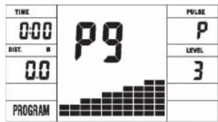 TIME 0:00 DIST. M 0.0 PROGRAM P9 P LEVEL 3 PROGRAM PULSE