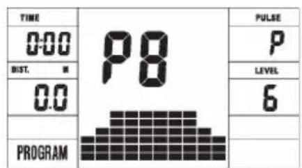 TIME 0:00 DIST. ■ 0.0 PROGRAM P8 P LEVEL 6 PULSE