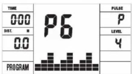 TIME 0:00 DIST. M 0.0 PROGRAM P6 P LEVEL 4