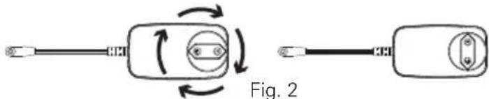 Fig. 2