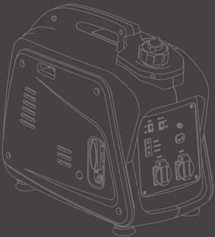 HYUNDAI 55001 - INVERTER BENZINE GENERATOR 55001/55002 - 2
