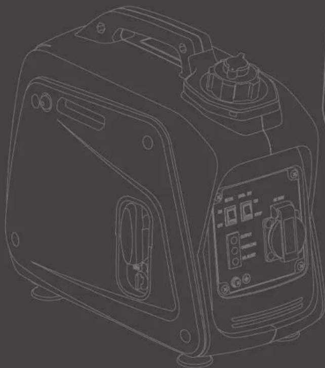 HYUNDAI 55001 - INVERTER BENZINE GENERATOR 55001/55002 - 1