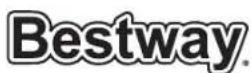 BESTWAY Flowclear 58400 - Problembeschreibung - 1