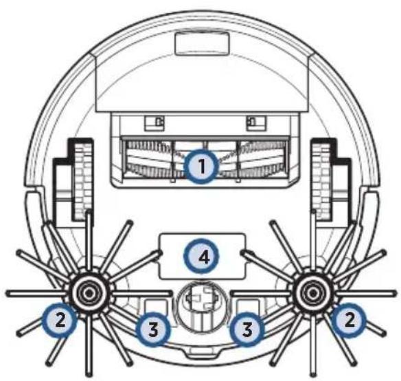 BISSELL EV675 - Vue du produit - 1