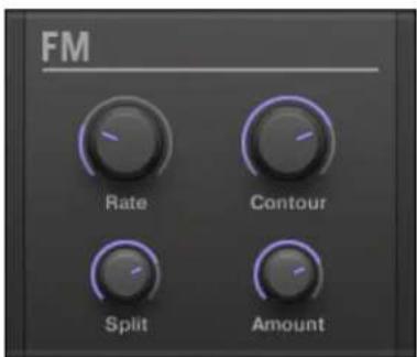 NATIVE INSTRUMENTS Maschine Mk3 - FM - 1