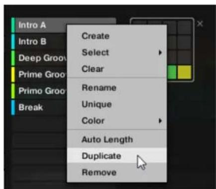 NATIVE INSTRUMENTS Maschine Mk3 - Dupliquer une section - 2