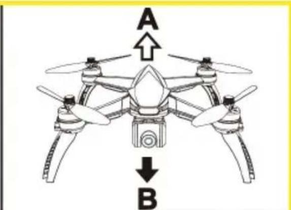 A B