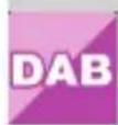 Telestar DABMAN i450 CD - IMPOSTAZIONI - 6