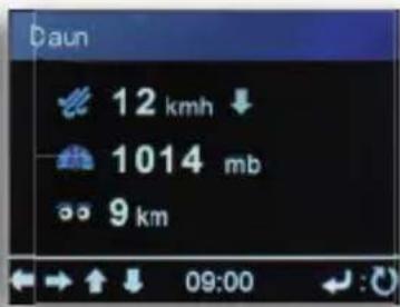 Telestar DABMAN i450 CD - Weersinformatie - 2