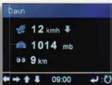 Telestar DABMAN i450 CD - Wetterinformationen - 2