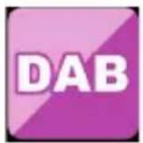 Telestar DABMAN i450 CD - DAB - 1