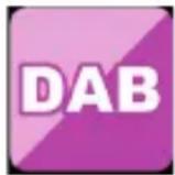 Telestar DABMAN i450 CD - DAB - 1